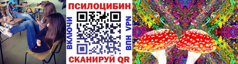 Галлюциногенные грибы Psilocybe  Пущино 
